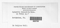 Image Associated With the Occurence